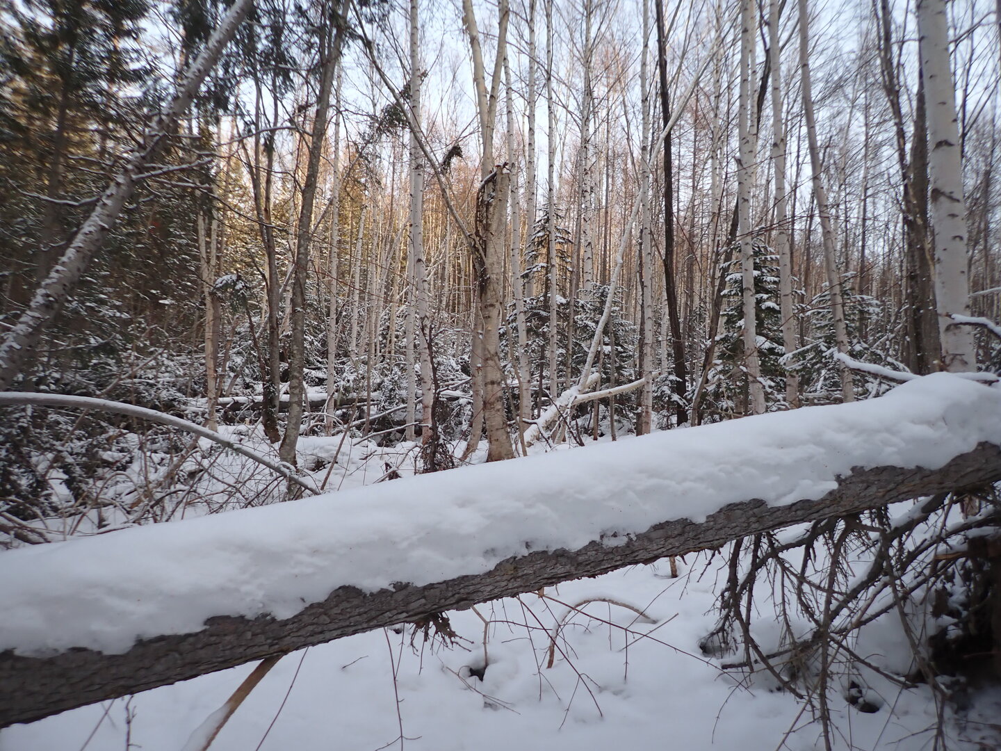 PA300278.JPG