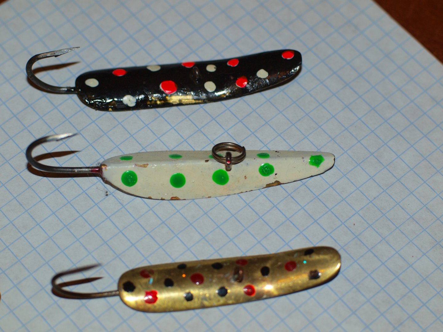 PA307923.JPG