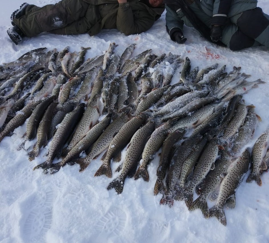 пацаны ловят.jpg