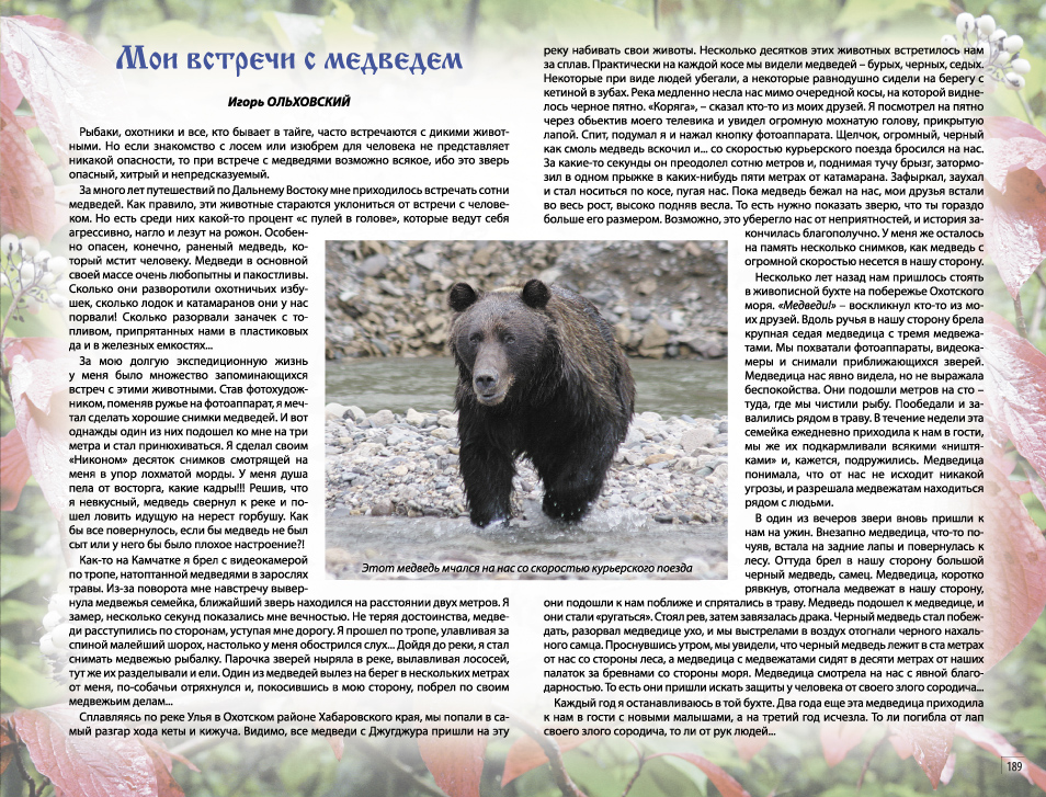 Сочинение описание по картине камчатский бурый медведь. Описание медведя. Текст про бурого медведя. Камчатский бурый медведь сочинение.