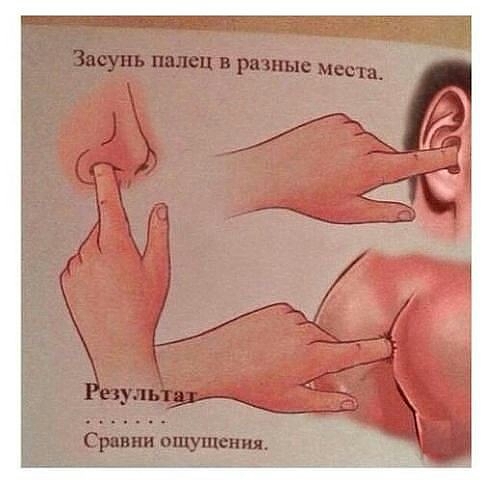 палец.jpg