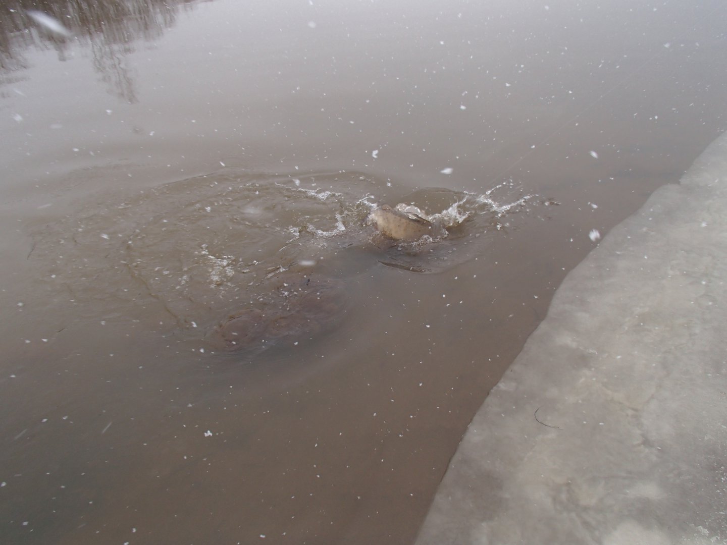 PB020670.JPG