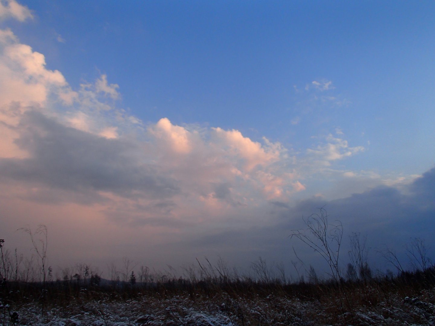 PB020707.JPG