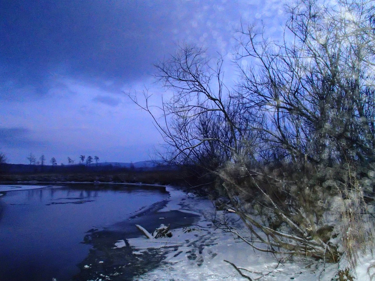 PB020712.JPG