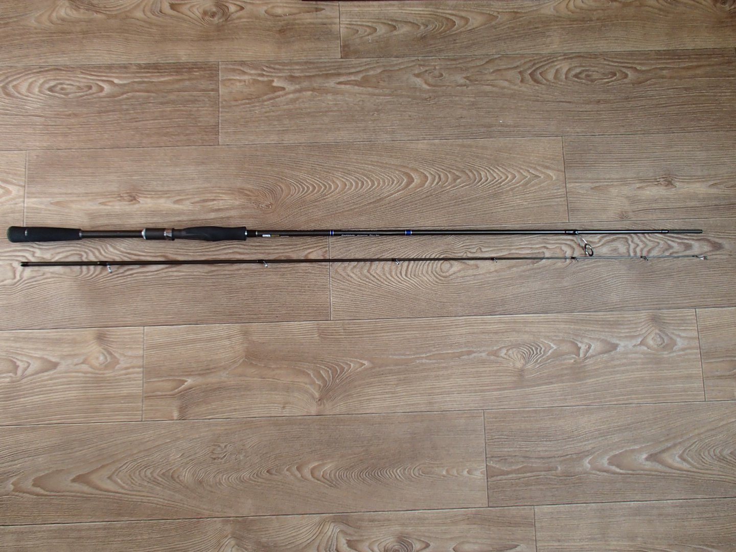 PB160012.JPG
