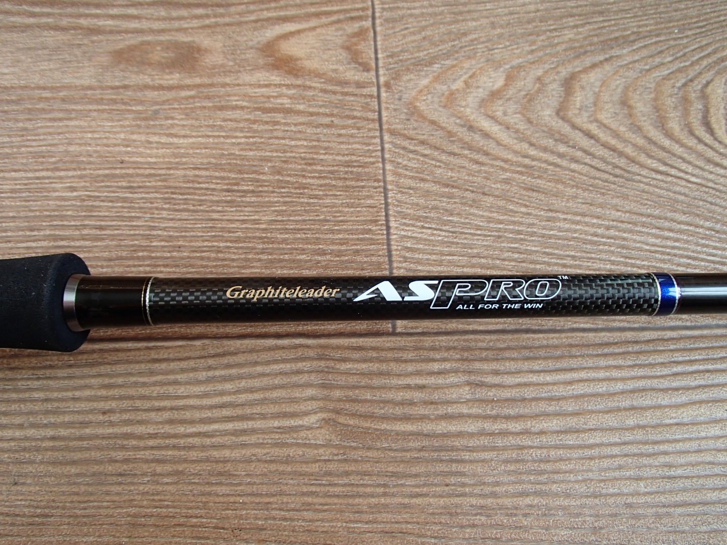 PB160018.JPG
