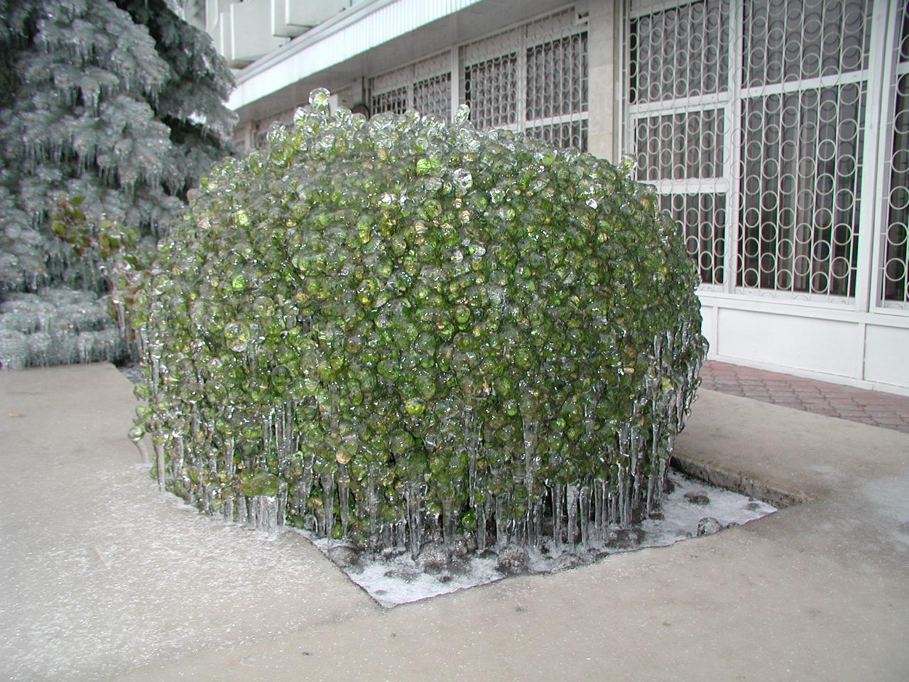 PB280034.JPG