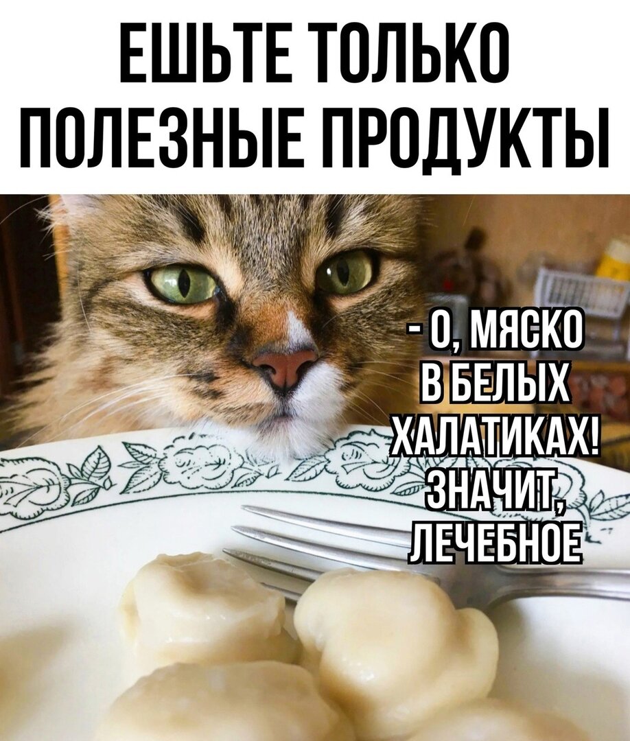 Пельмени.jpg