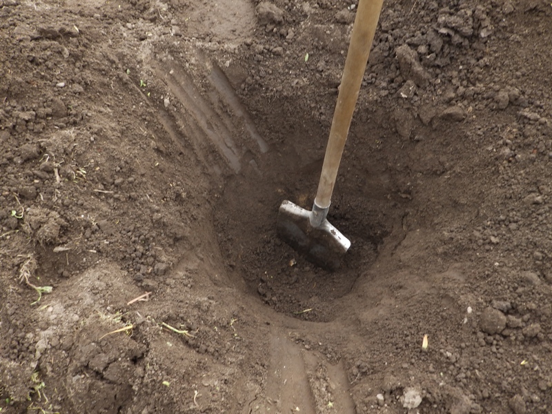 первая яма.JPG