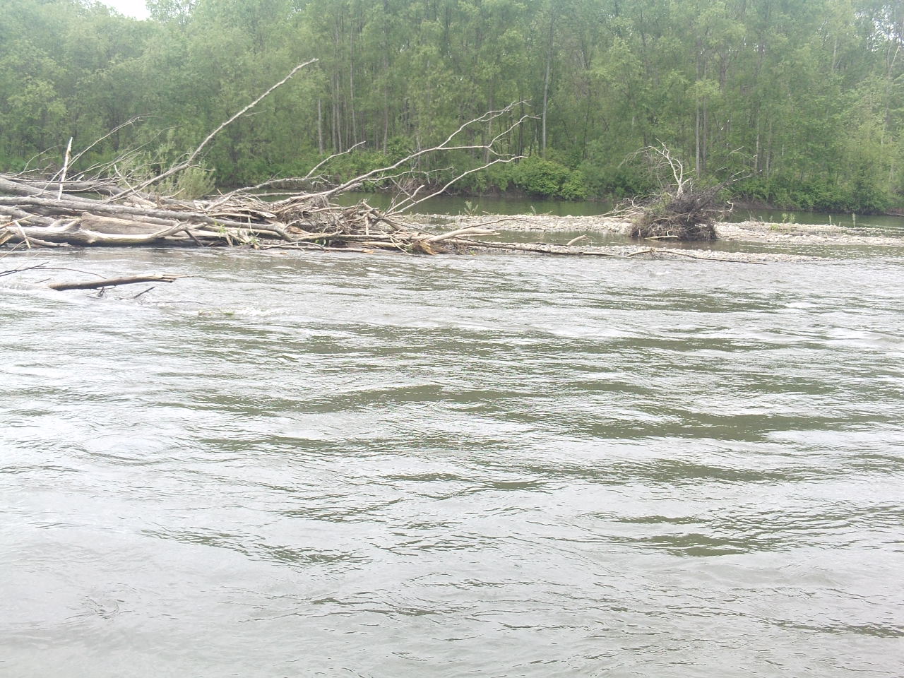 PHOT0086.JPG