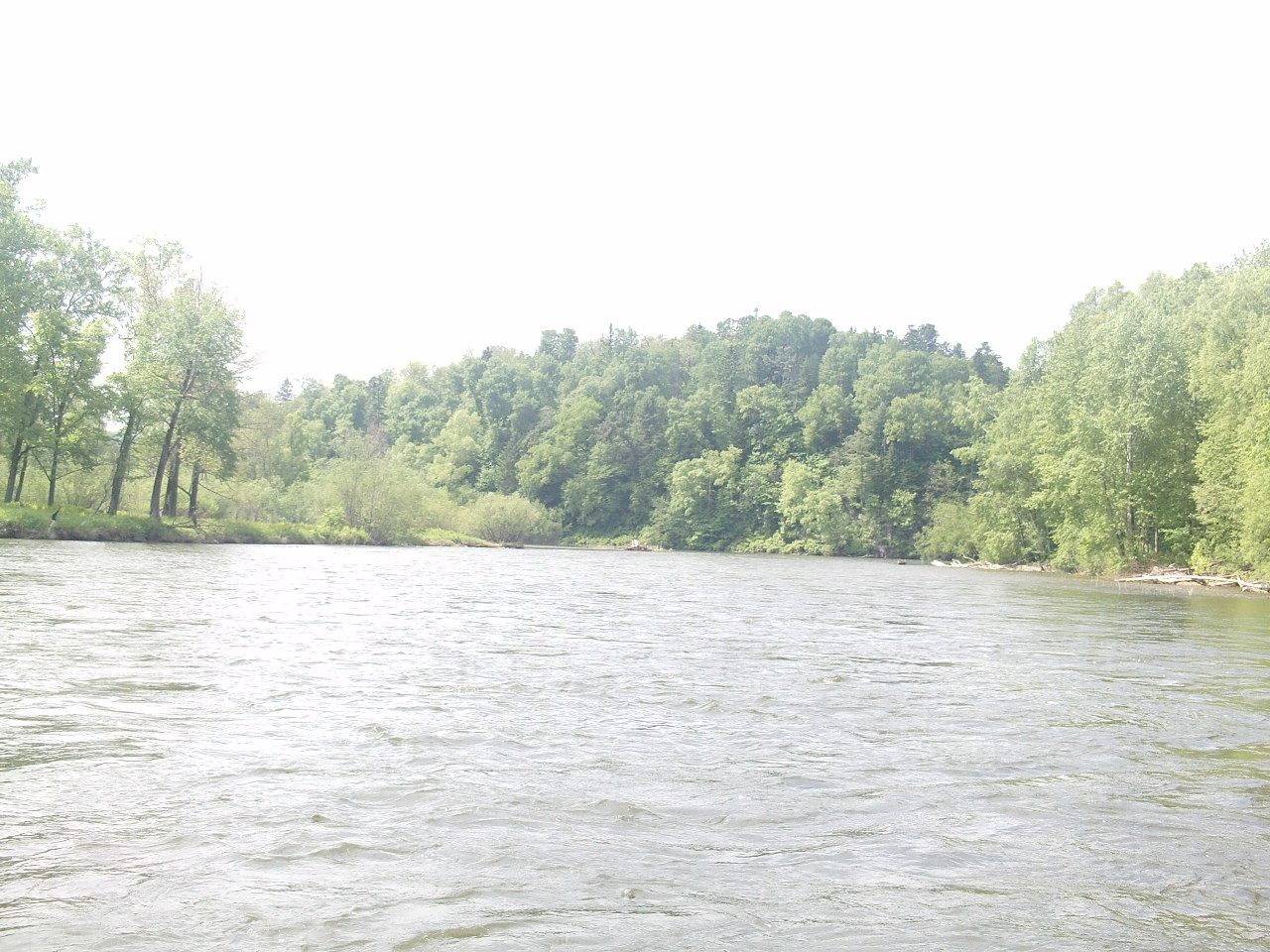 PHOT0091.JPG