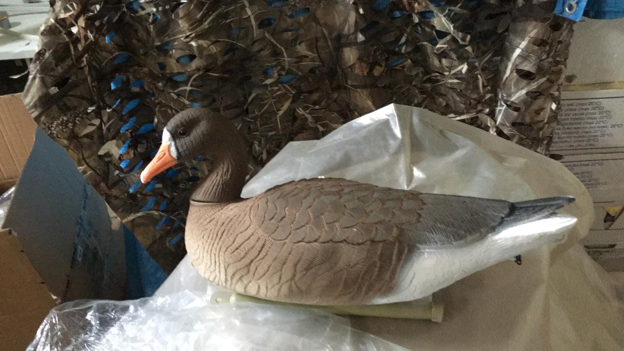 PHOTO-2019-03-28-22-01-58 (1).jpg