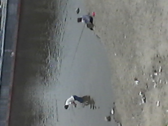 Photo0003.jpg