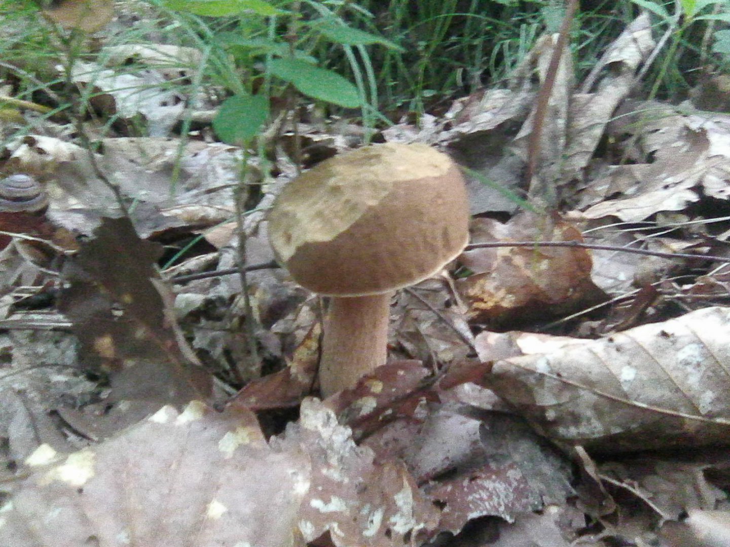 Photo0321.jpg