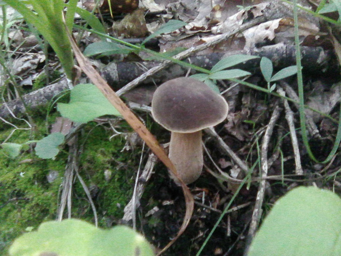 Photo0324.jpg