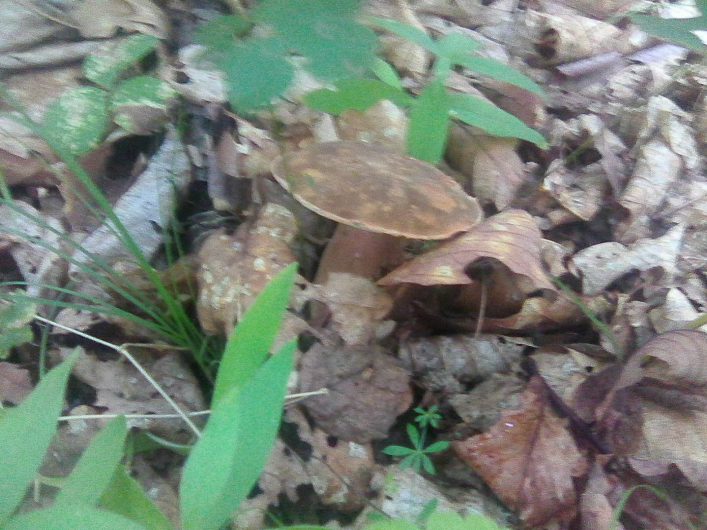 Photo0331.jpg