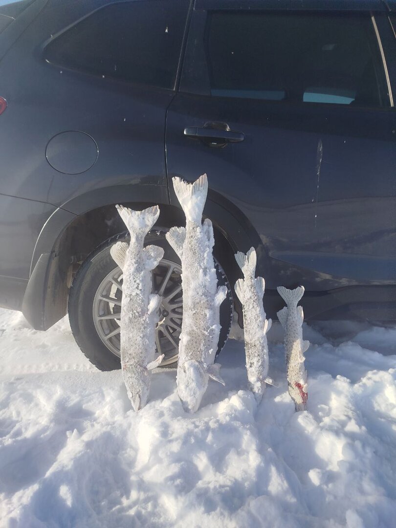 photo_2026-01-06 (2).jpg