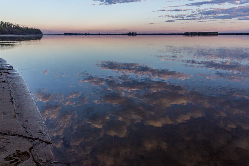 PIC_8517-2.jpg