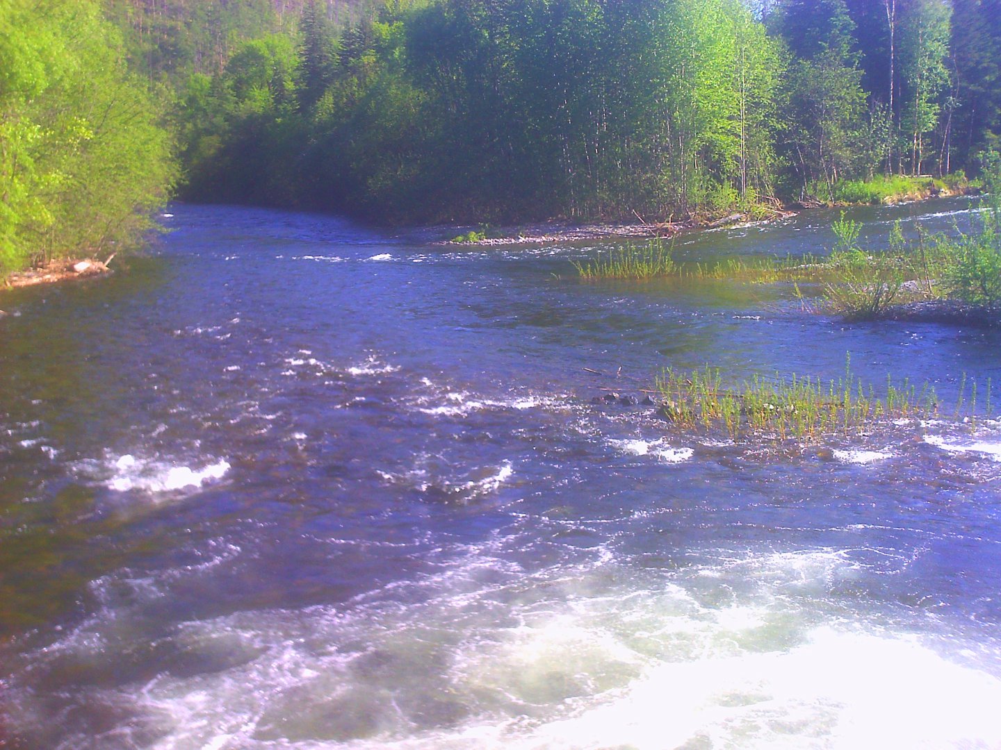 PICT0003.JPG