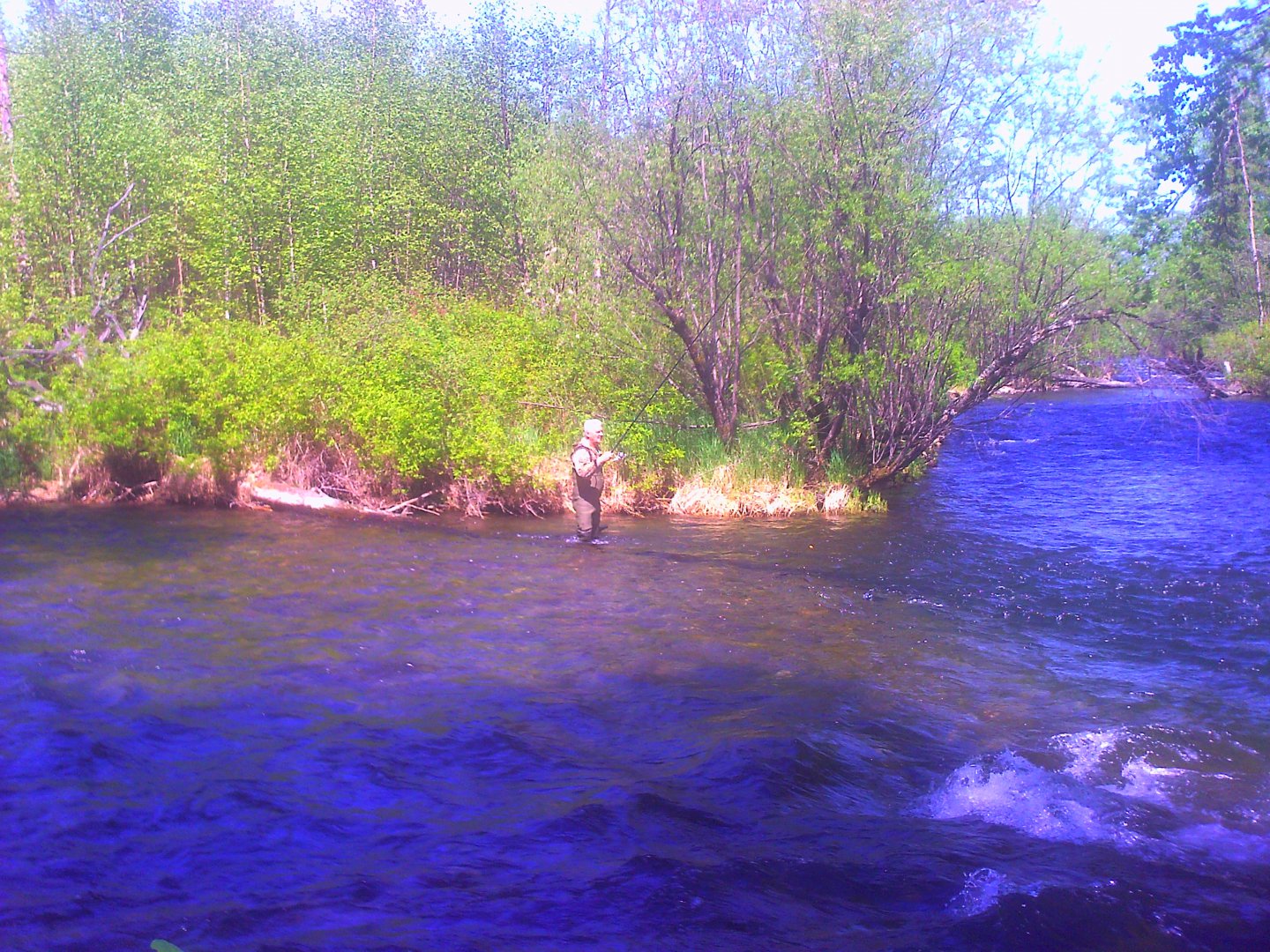 PICT0022.JPG