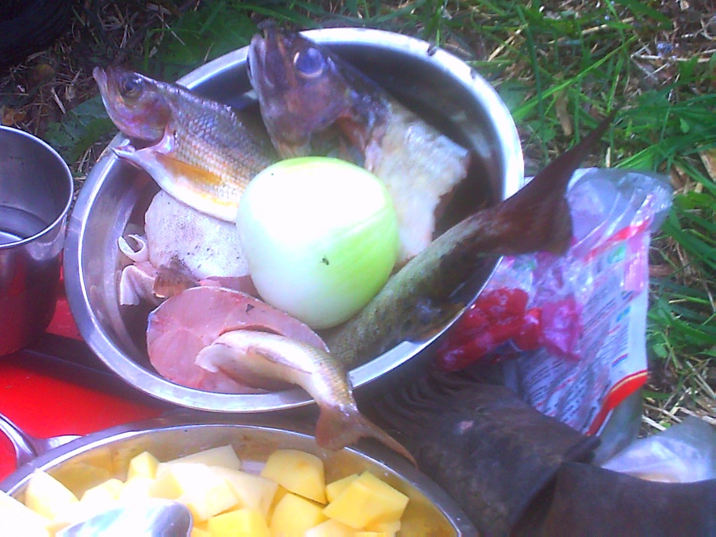 PICT0025.JPG