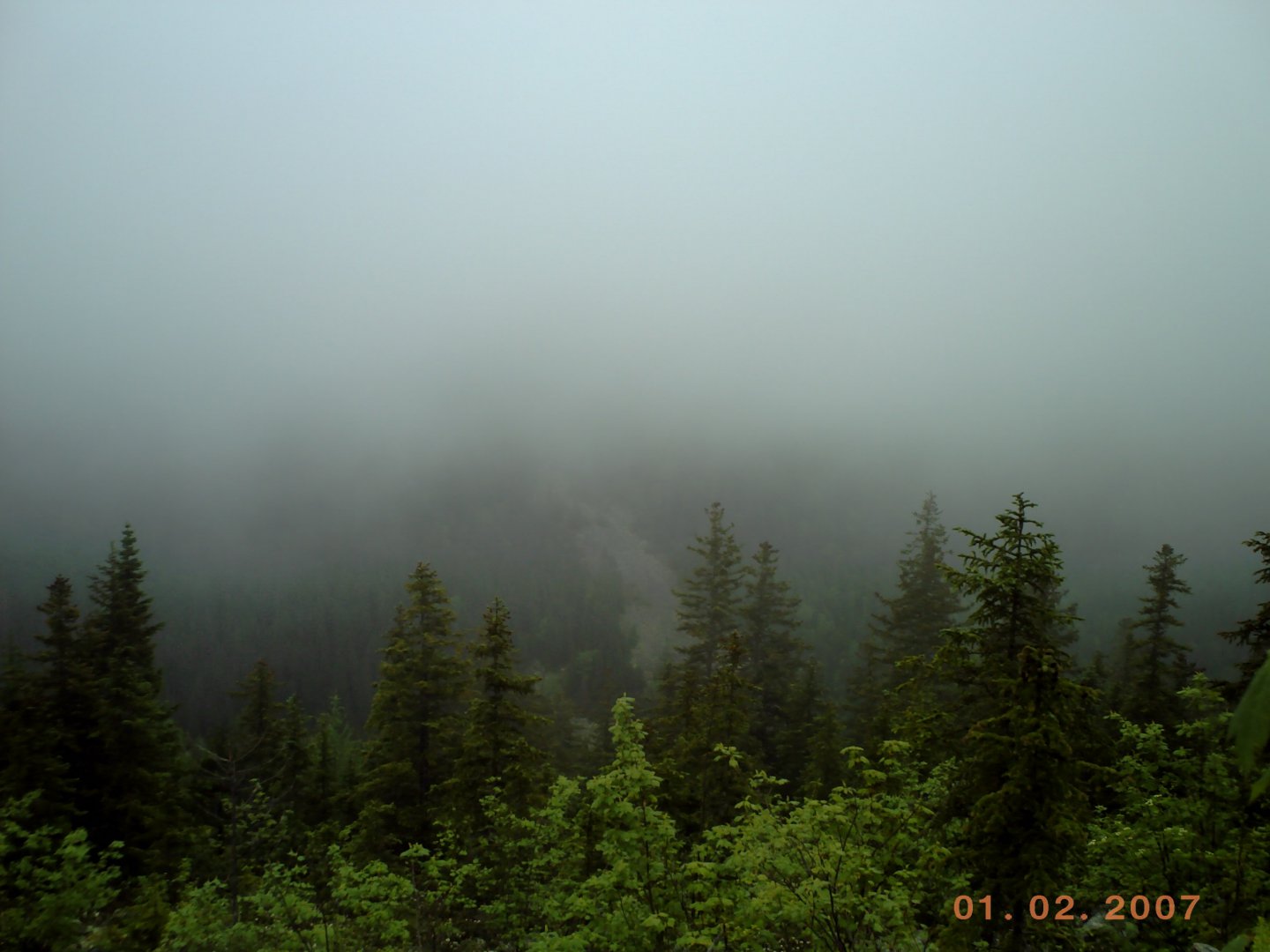 PICT0066.JPG
