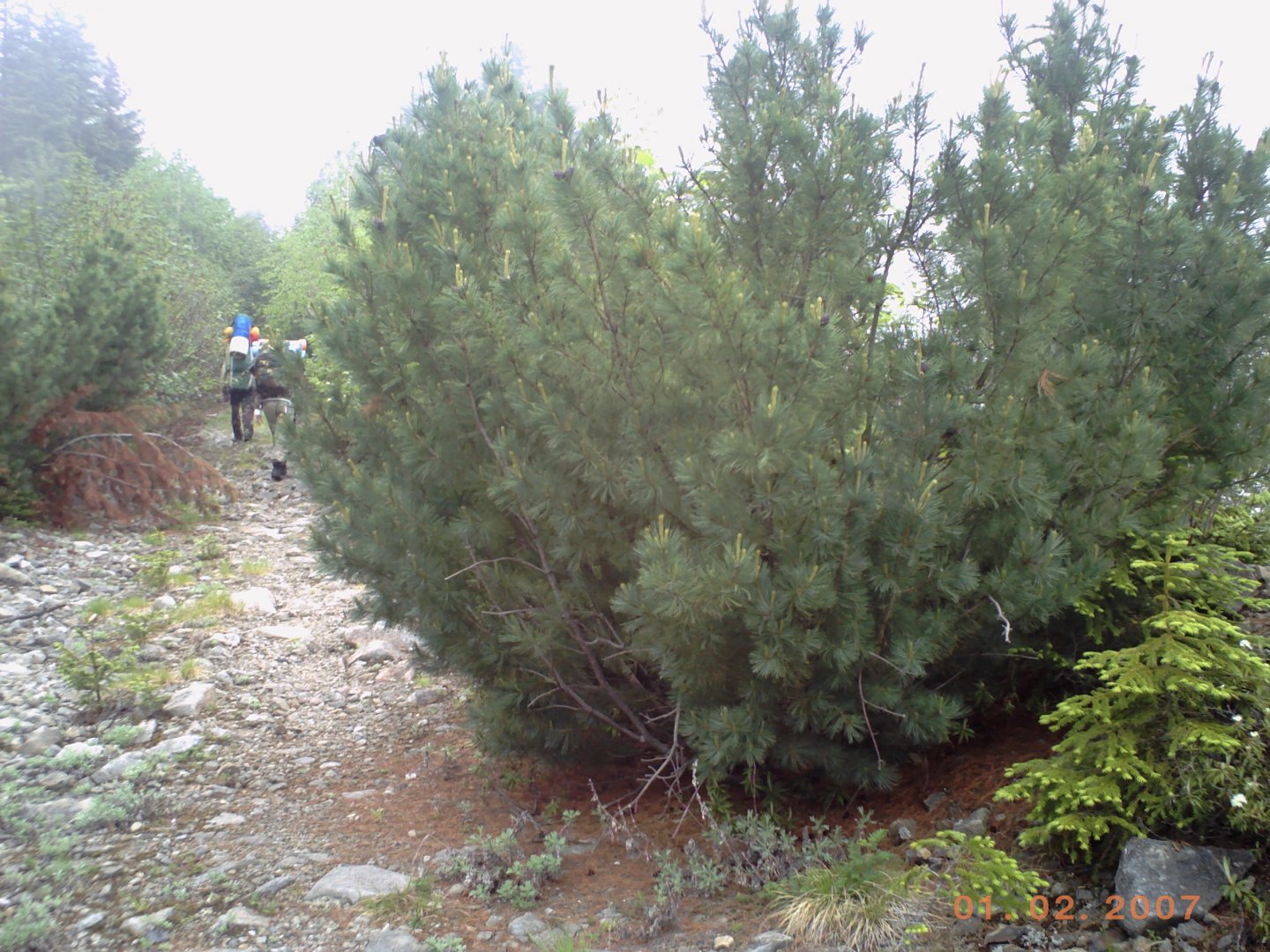 PICT0067.JPG