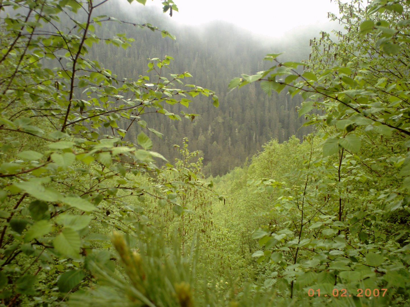 PICT0077.JPG