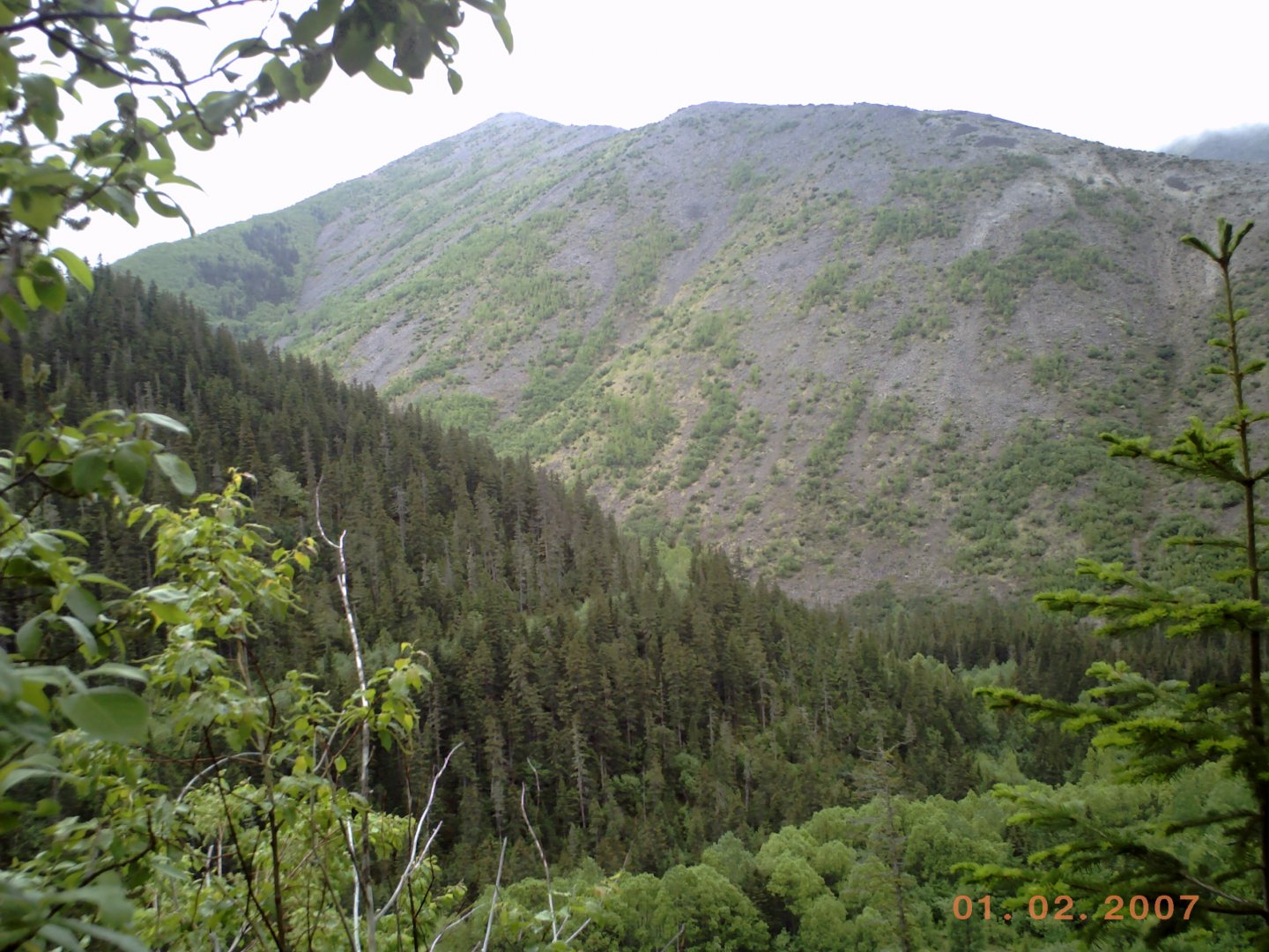 PICT0096.JPG