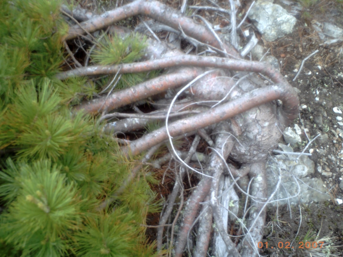 PICT0146.JPG