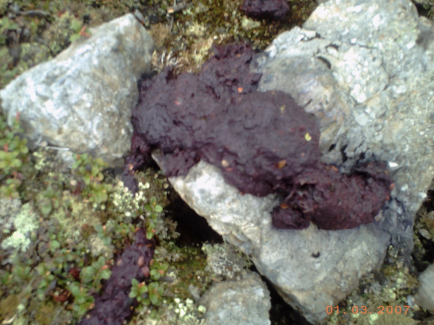 PICT0215.JPG