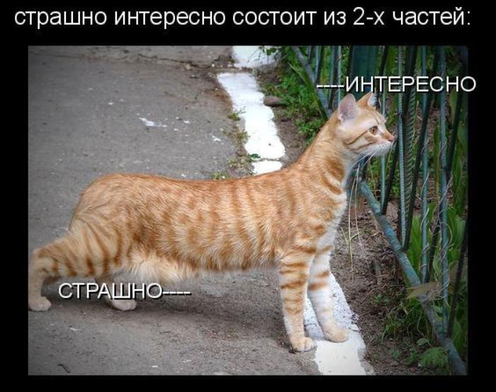 picturepost.jpg