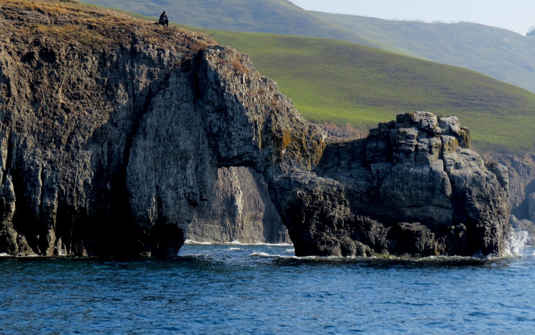 Пьющий верблюд.JPG