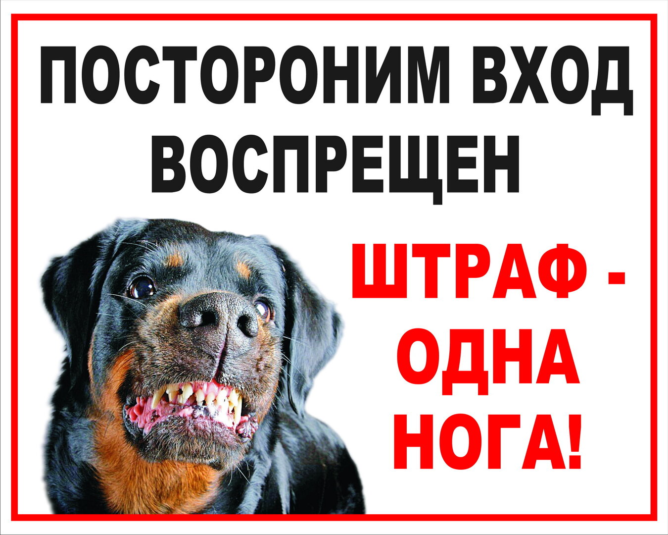 Плакат_Собака_новый размер.jpg