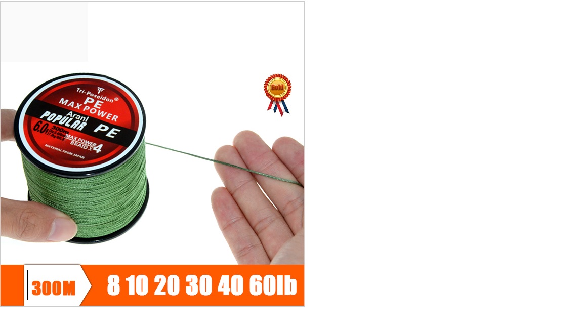 плетня.jpg