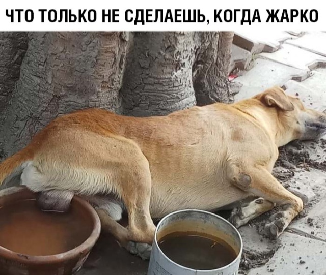 podb_vecher_26.jpg