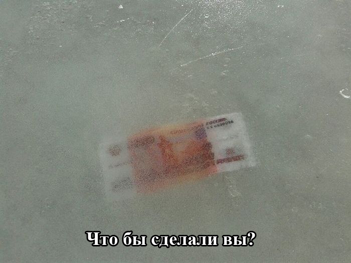 podborka_01.jpg