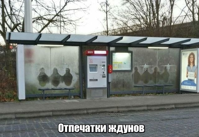 podborka_dnevnaya_01.jpg