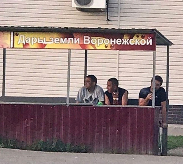 podborka_dnevnaya_22.jpg