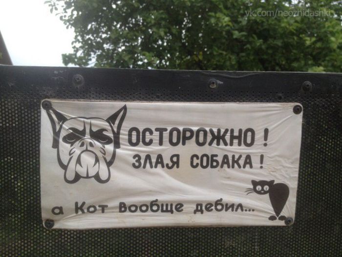 podborka_dnevnaya_36.jpg