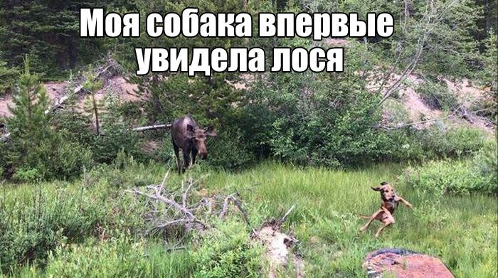 podborka_vecher_01.jpg