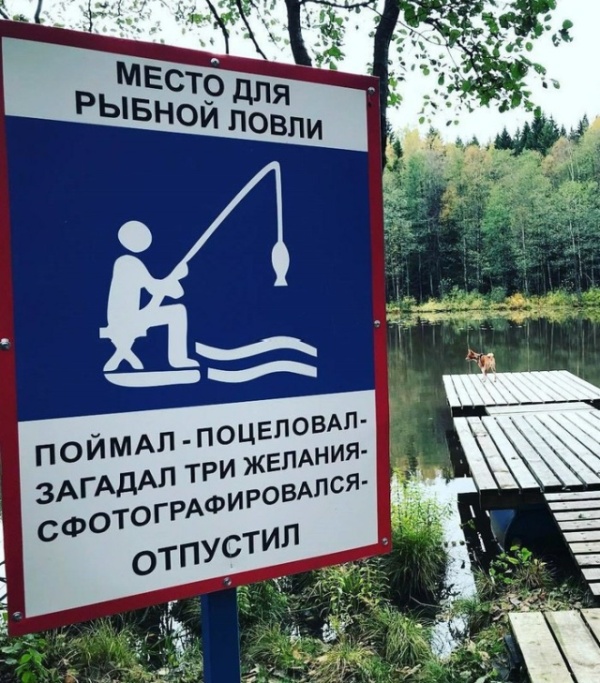 podborka_vecher_02.jpg