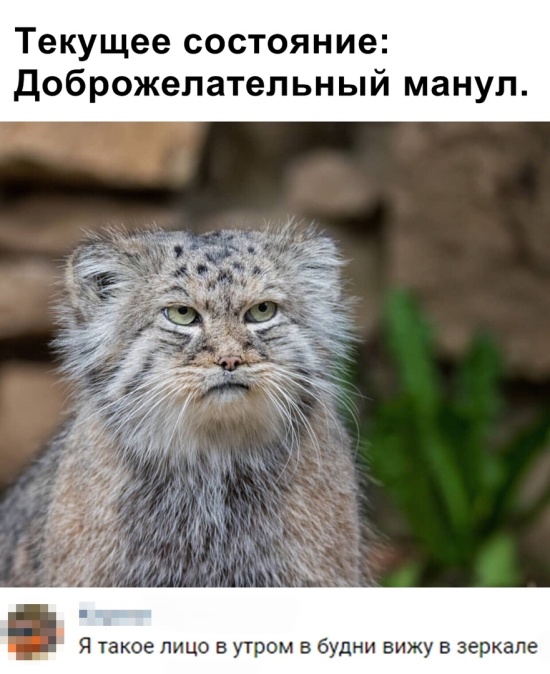 podborka_vecher_14.jpg