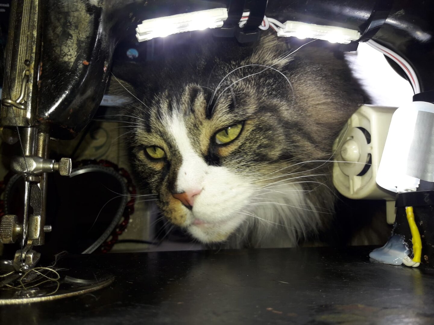 Подолька 3.jpg