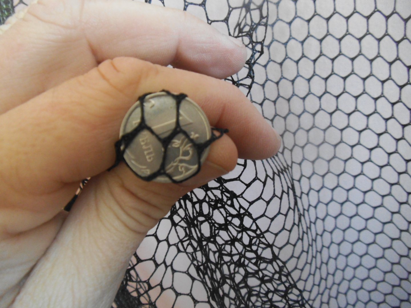 подсак 052.jpg