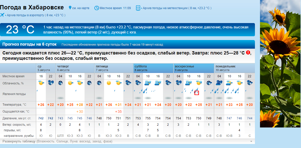 Прогноз погоды хабаровск подробно. Погода в Хабаровске. Погода в Хабаровске на неделю. Погода в Хабаровске сейчас. Погода в Хабаровске на завтра.