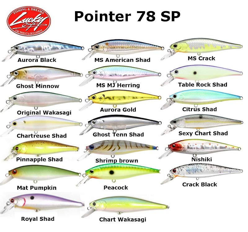 Pointer-78.jpg