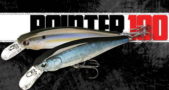 pointer100.jpg