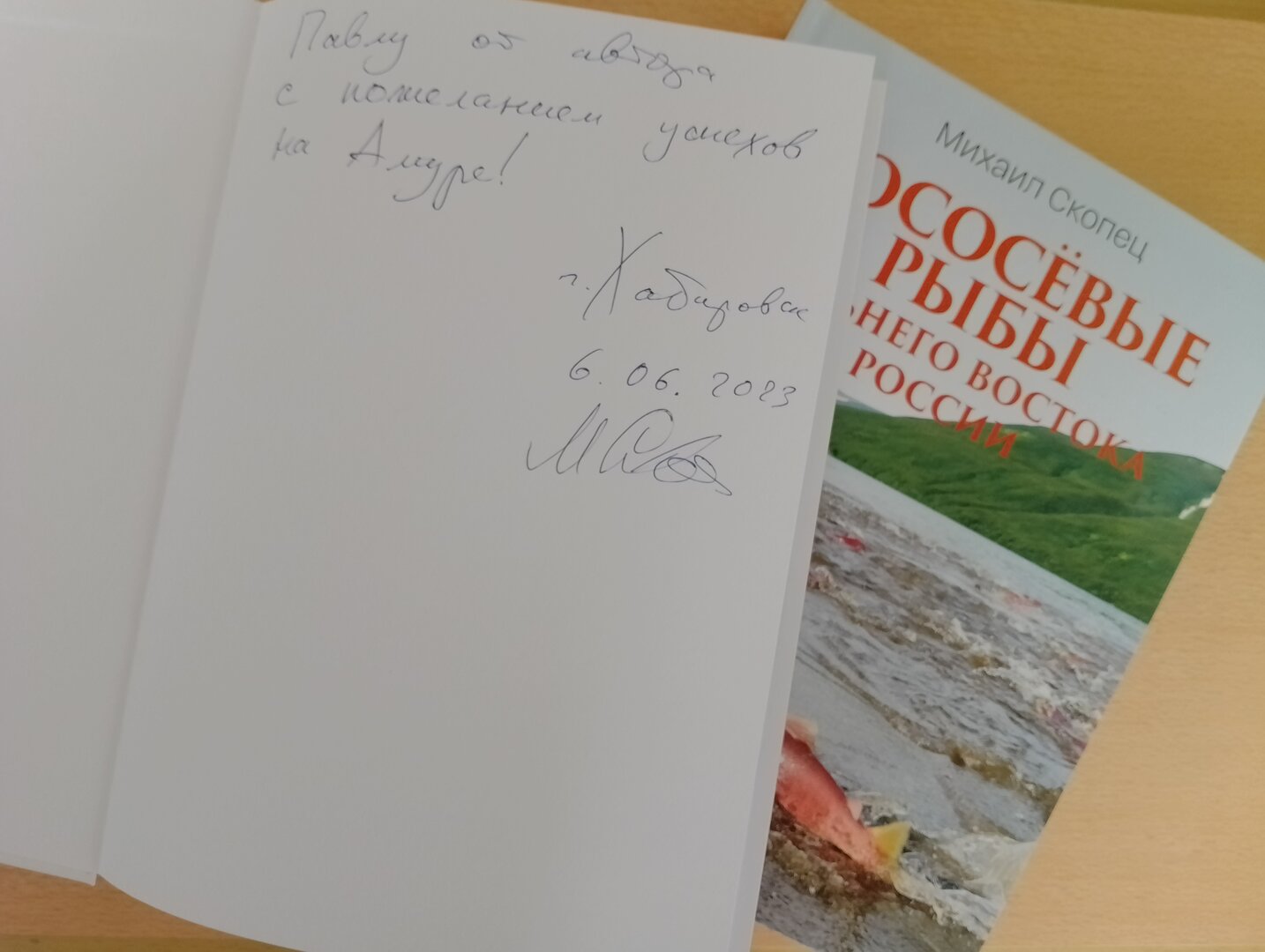 Polish_20230607_161755588.jpg