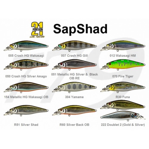 pontoon21_sapshad_all-800x600-500x500.jpg